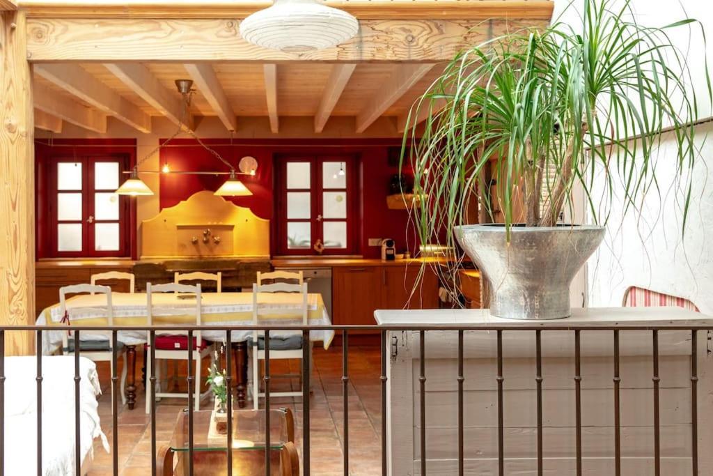 Loft Centre-ville Parking, Clim, Wifi * Carcassonne